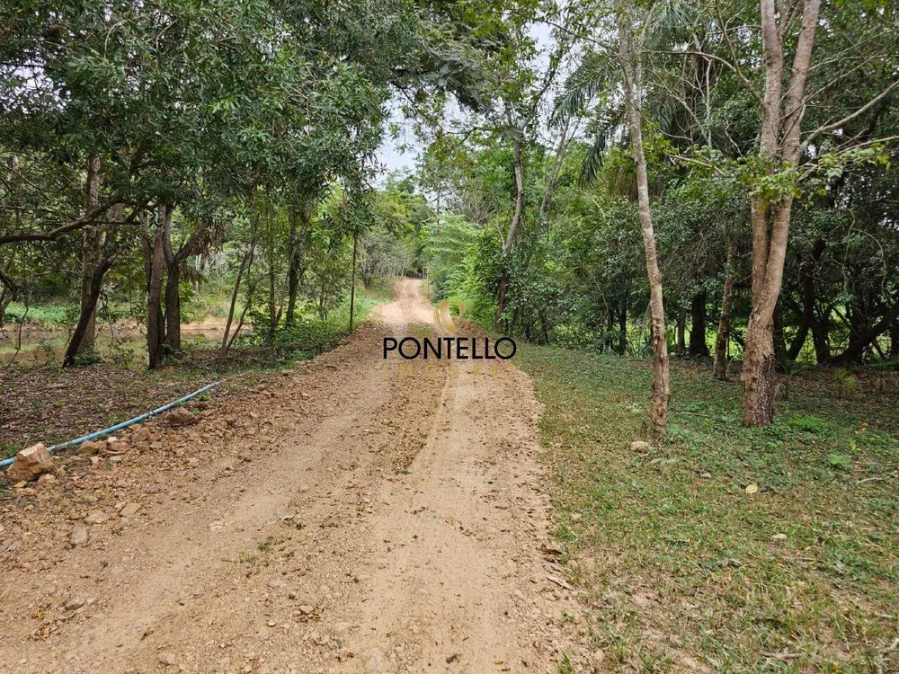 Fazenda, 37 hectares - Foto 7