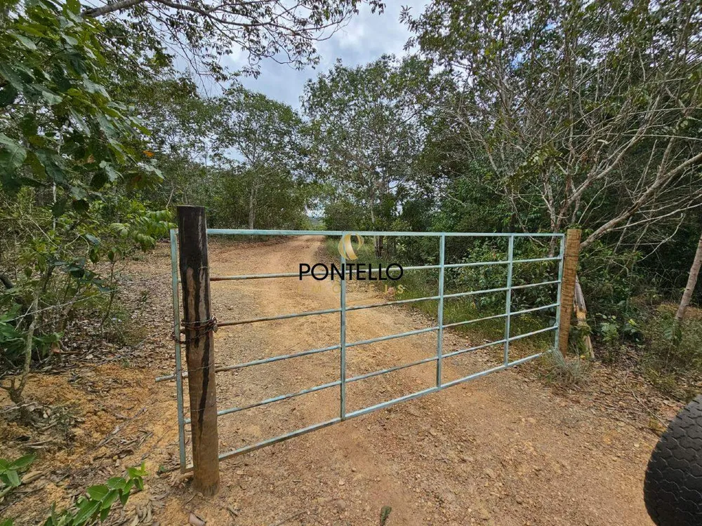 Fazenda, 37 hectares - Foto 3
