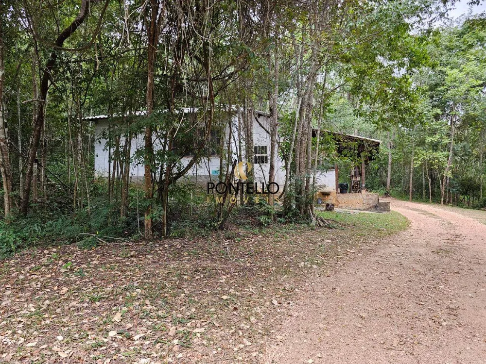 Fazenda, 37 hectares - Foto 13