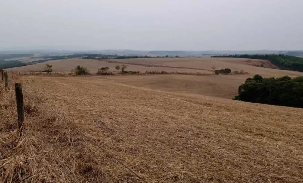 Fazenda, 72 hectares - Foto 11