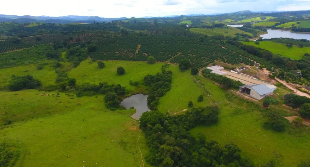 Fazenda, 302 hectares - Foto 4