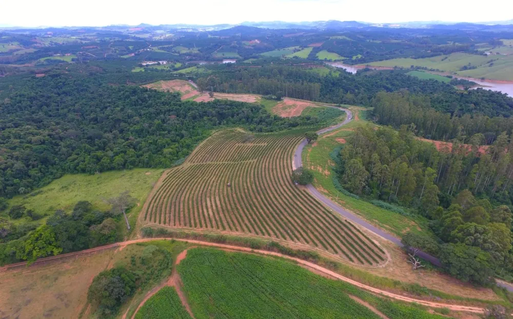 Fazenda, 302 hectares - Foto 2
