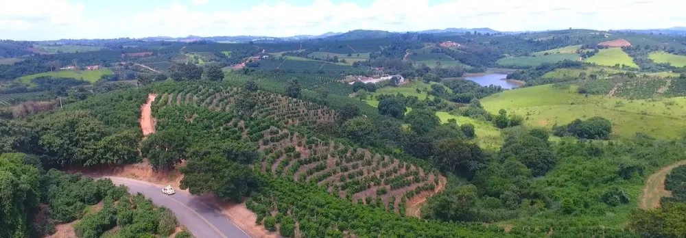 Fazenda, 302 hectares - Foto 4