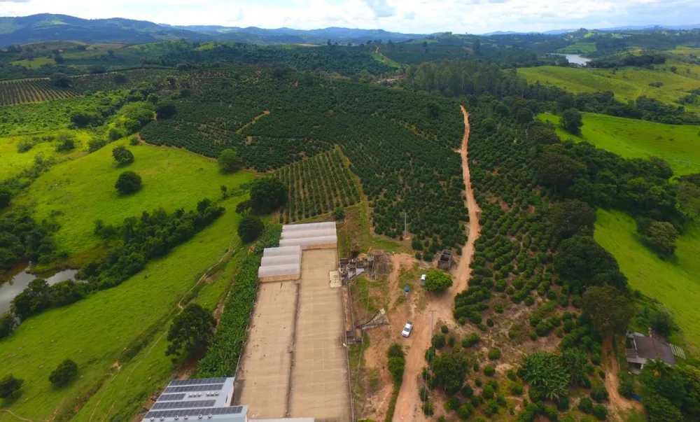 Fazenda, 302 hectares - Foto 12