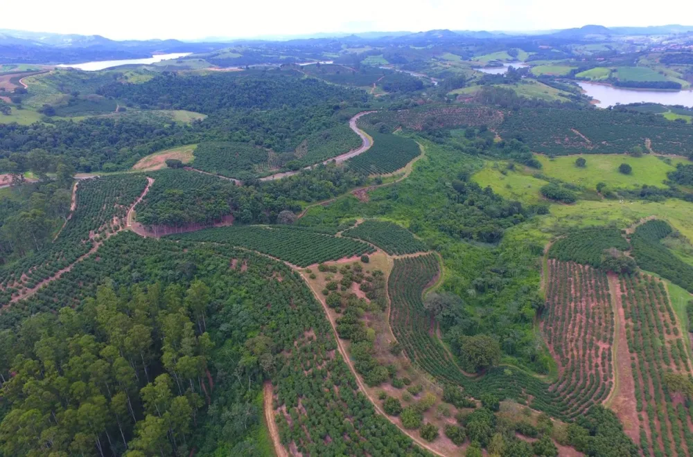 Fazenda, 302 hectares - Foto 1