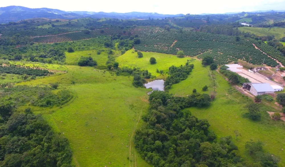 Fazenda, 302 hectares - Foto 8