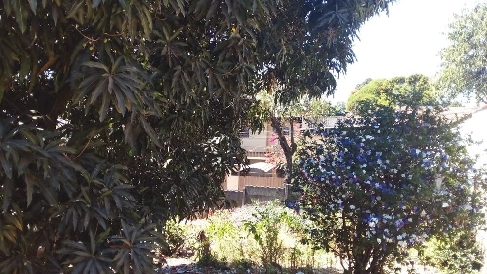 Terreno à venda, 360m² - Foto 2