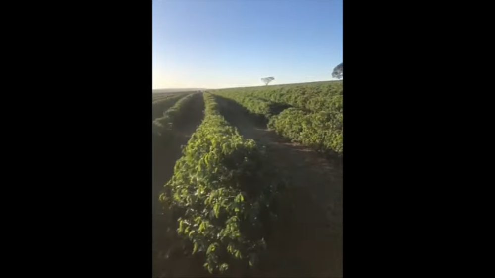 Fazenda à venda com 2 quartos, 943800m² - Foto 3