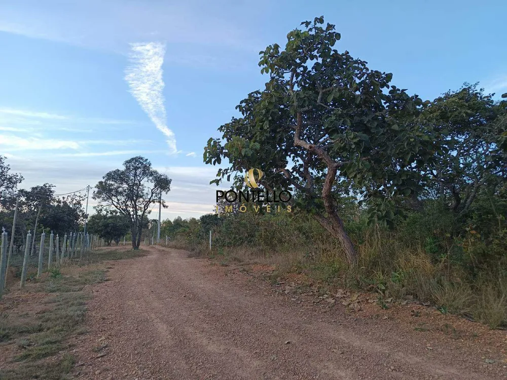 Chácara, 1 quarto - Foto 4
