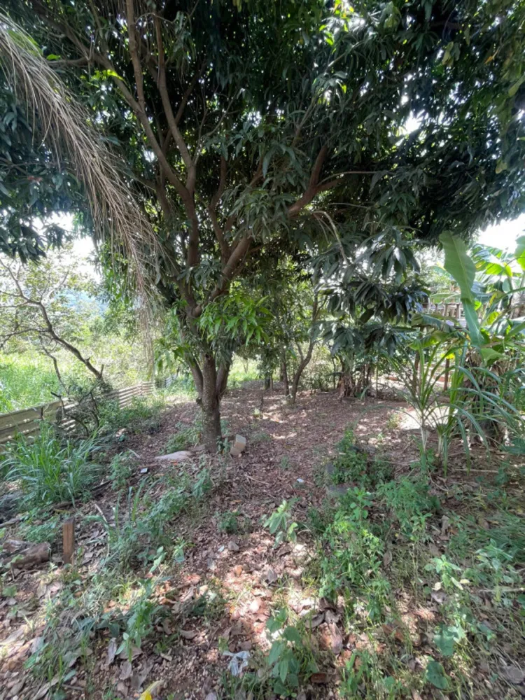 Chácara, 2 quartos, 650 m² - Foto 6