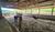 Fazenda, 78 hectares - Foto 2