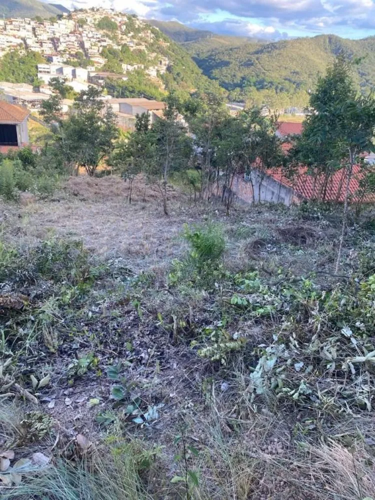 Terreno, 527 m² - Foto 5