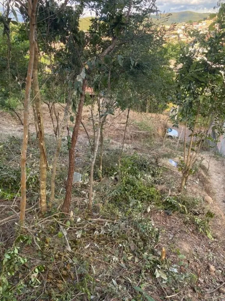 Terreno, 527 m² - Foto 9