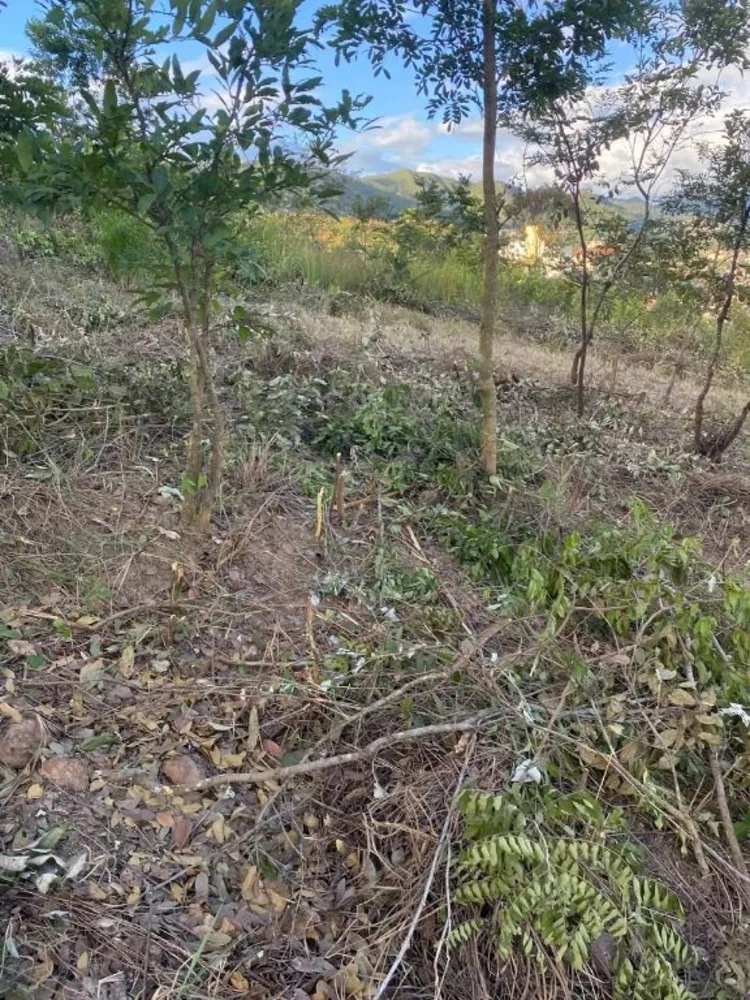 Terreno, 527 m² - Foto 5