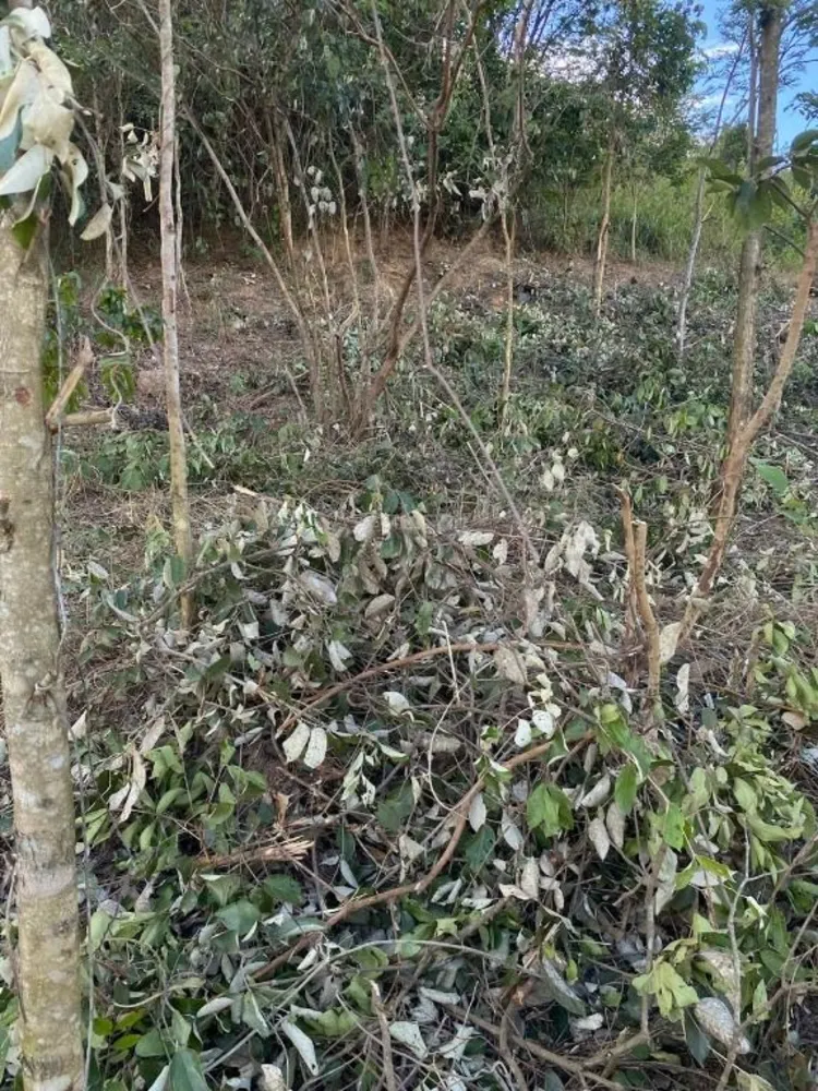 Terreno, 527 m² - Foto 7