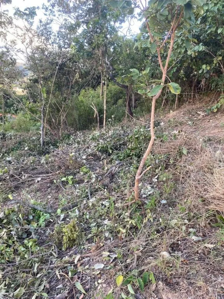 Terreno, 527 m² - Foto 11