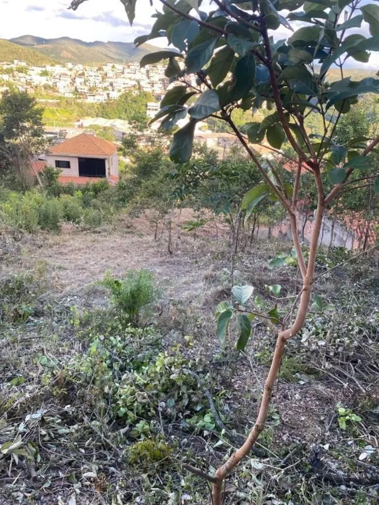 Terreno, 527 m² - Foto 3