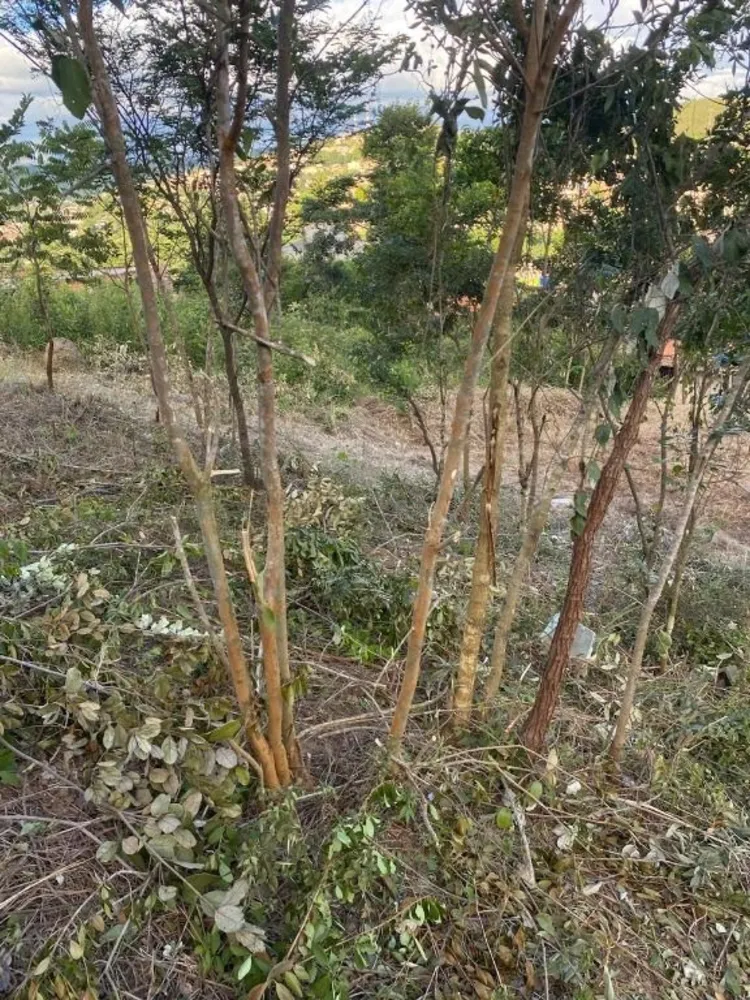 Terreno, 527 m² - Foto 8