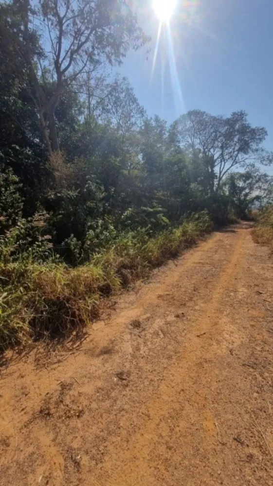 Chácara, 1 quarto, 1000 m² - Foto 3