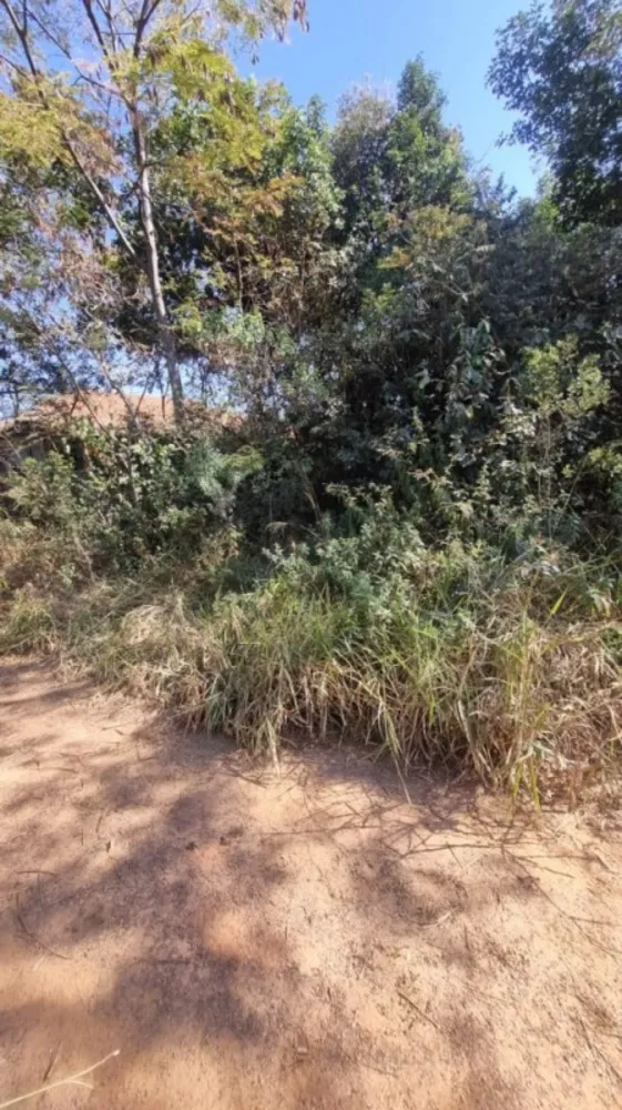 Chácara, 1 quarto, 1000 m² - Foto 4