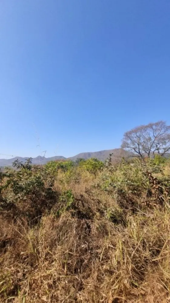 Chácara, 1 quarto, 1000 m² - Foto 2