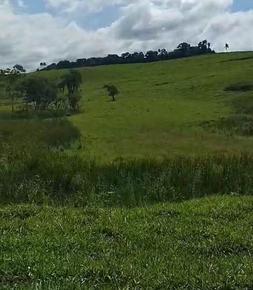 Fazenda à venda com 3 quartos - Foto 2