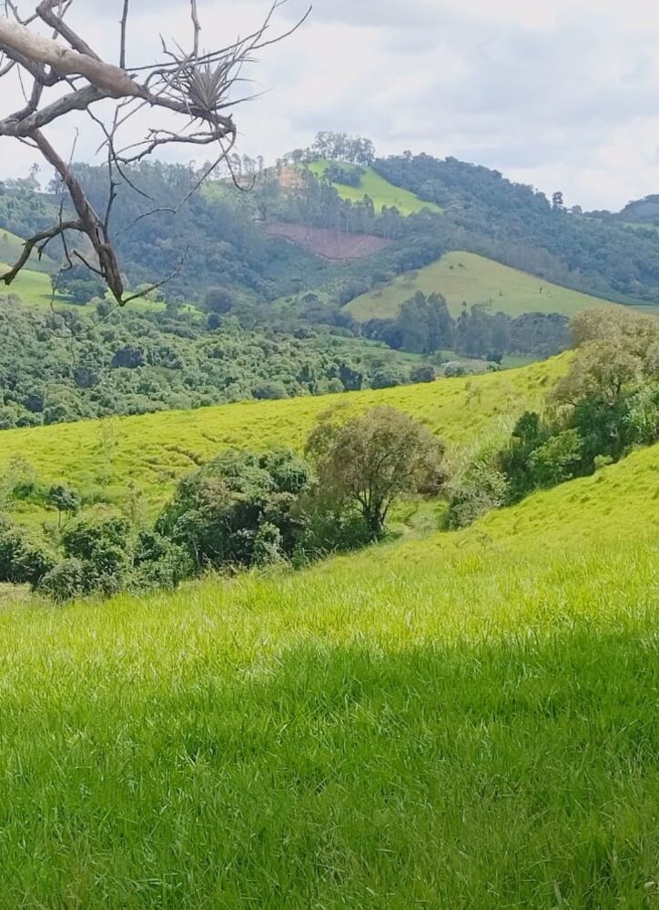 Fazenda à venda com 3 quartos - Foto 1