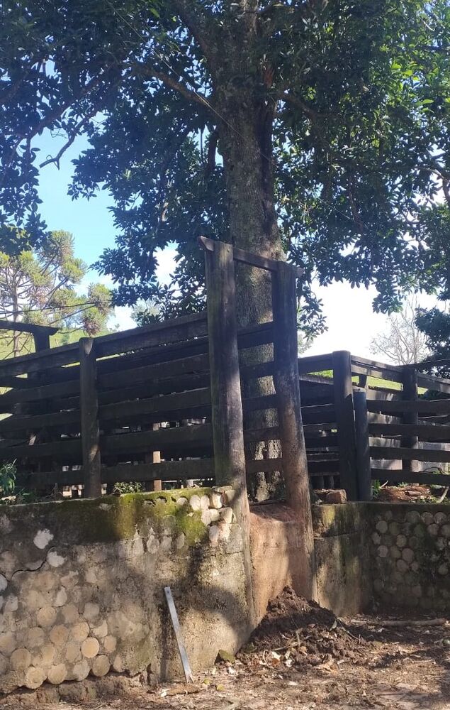 Fazenda à venda com 3 quartos - Foto 8