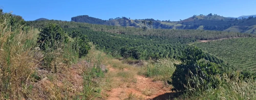 Fazenda, 32 hectares - Foto 6