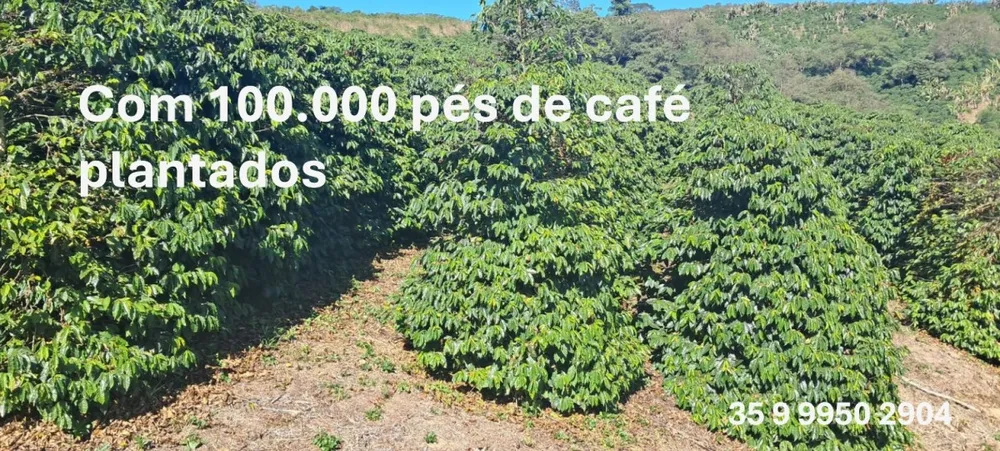 Fazenda, 32 hectares - Foto 6