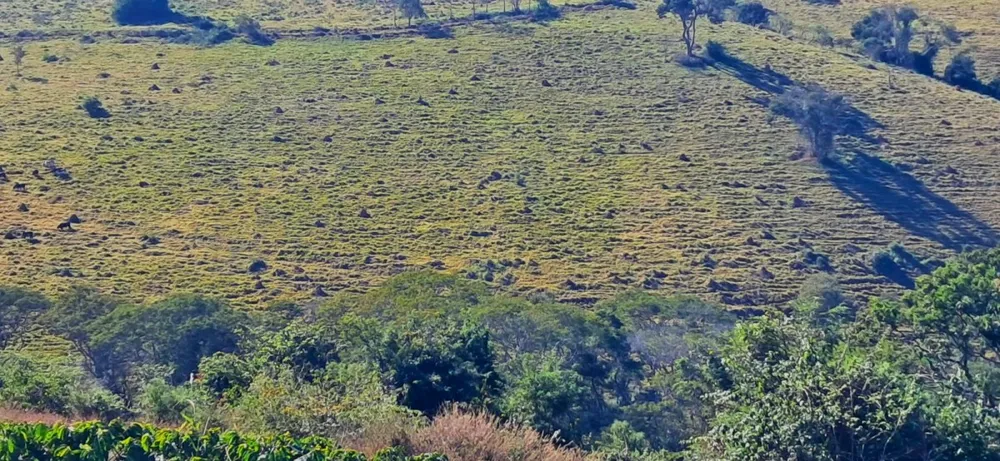 Fazenda, 32 hectares - Foto 7
