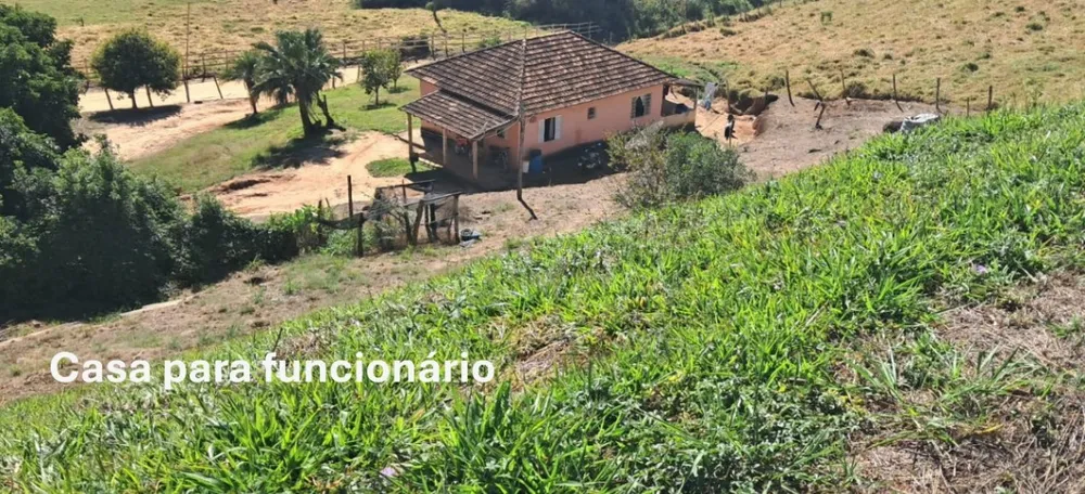 Fazenda, 32 hectares - Foto 3