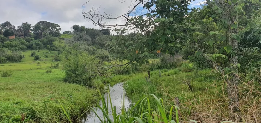 Chácara à venda com 3 quartos, 774400m² - Foto 10