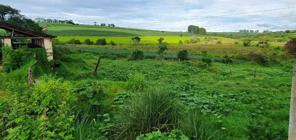 Chácara à venda com 3 quartos, 774400m² - Foto 8