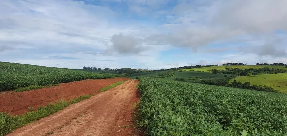 Chácara à venda com 3 quartos, 774400m² - Foto 1