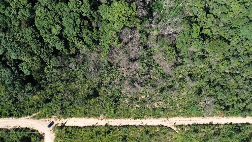 Terreno, 1000 m² - Foto 4