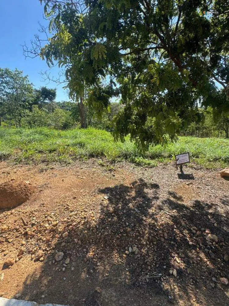 Terreno, 1000 m² - Foto 4