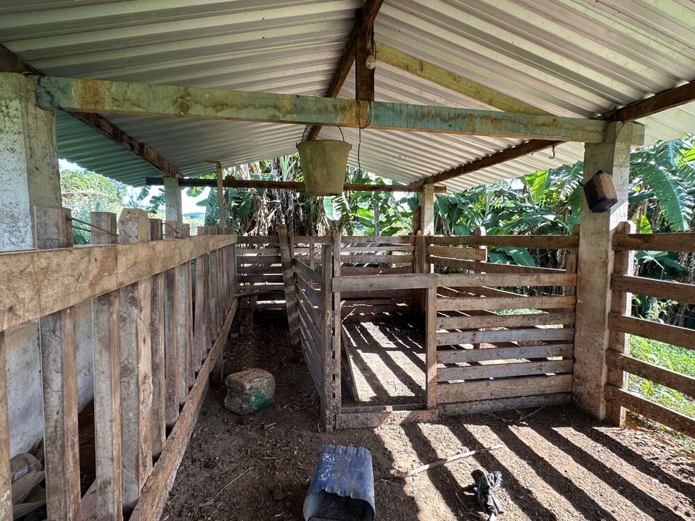 Chácara à venda com 3 quartos - Foto 12