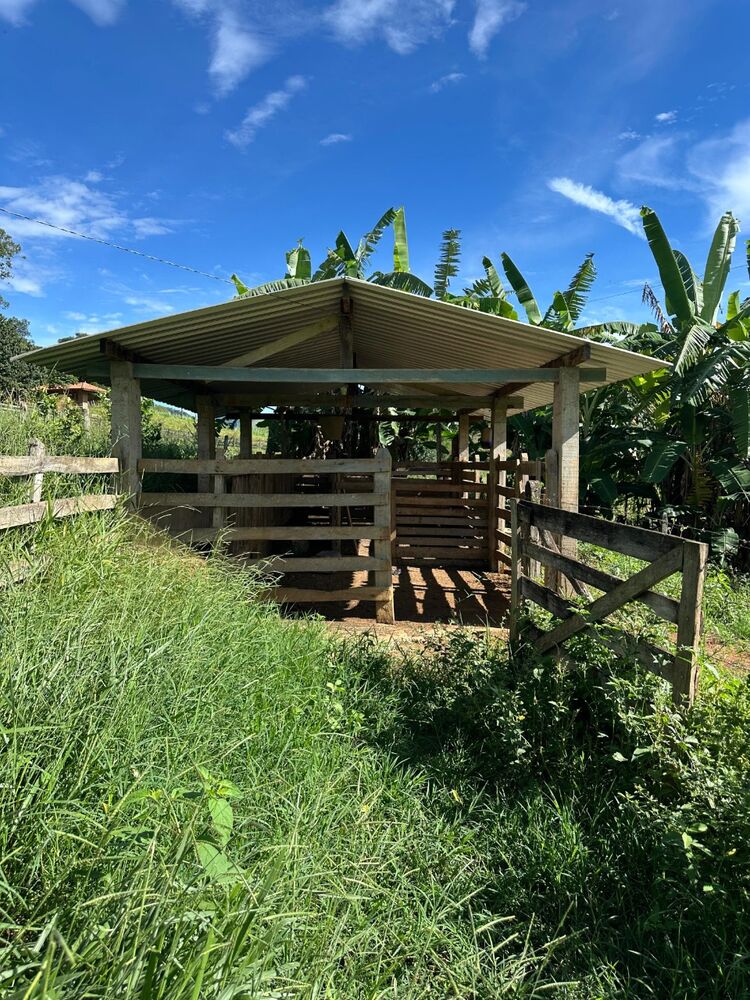 Chácara à venda com 3 quartos - Foto 10