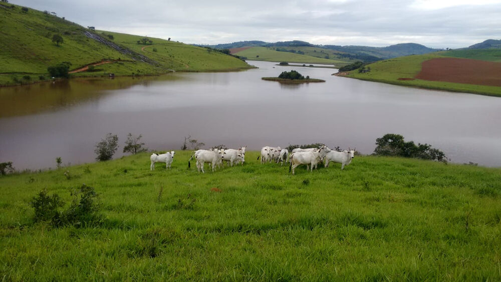 Fazenda à venda com 1 quarto, 1090000m² - Foto 2