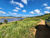 Fazenda, 109 hectares - Foto 7