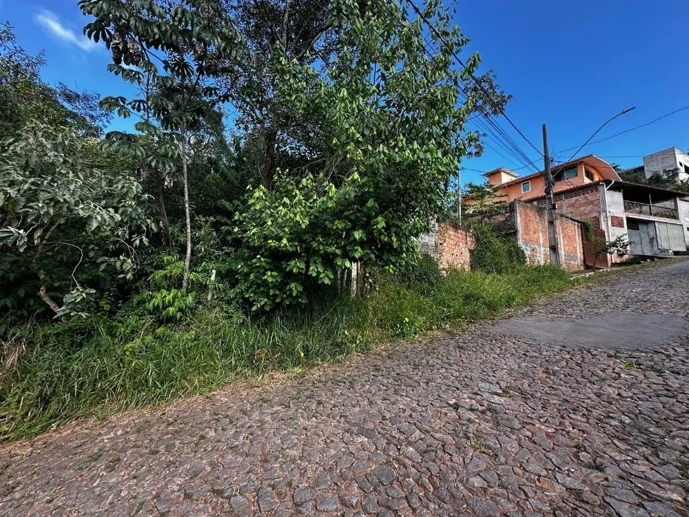 Terreno - Foto 6