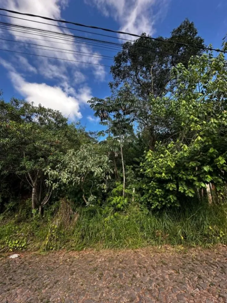 Terreno - Foto 7