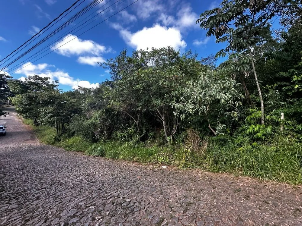 Terreno - Foto 2