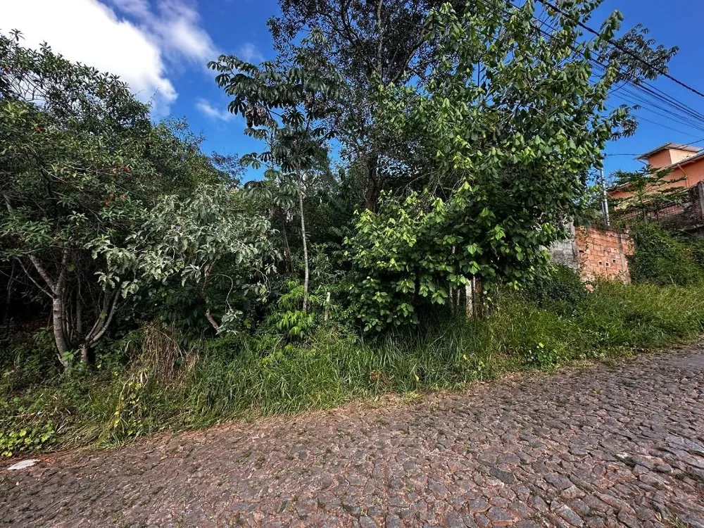 Terreno - Foto 1