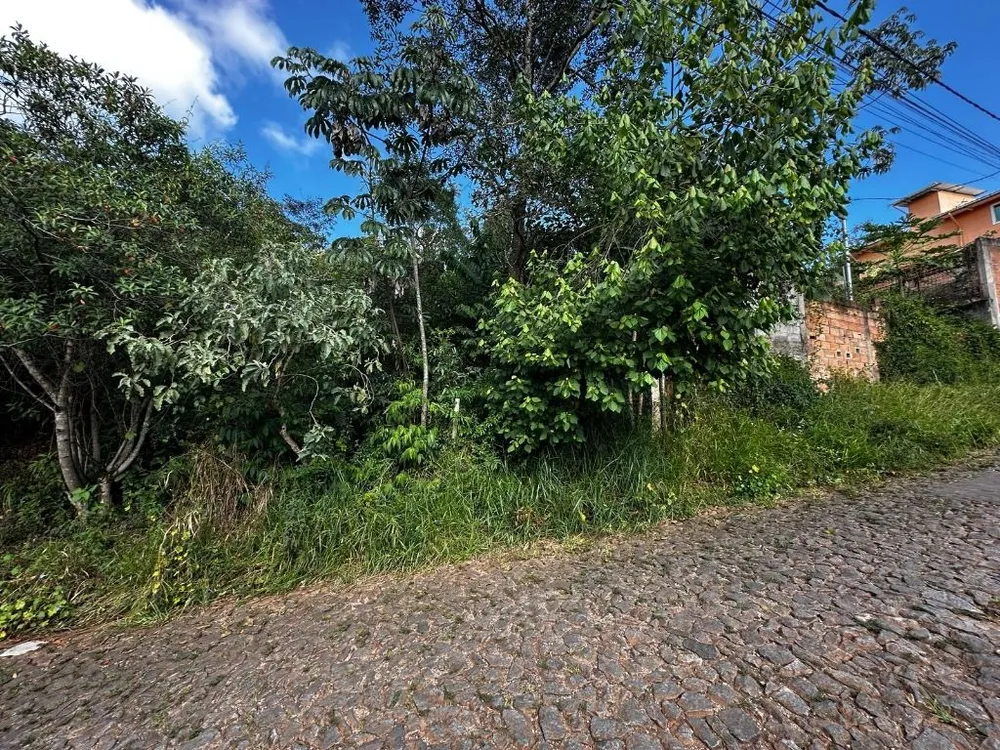 Terreno - Foto 4