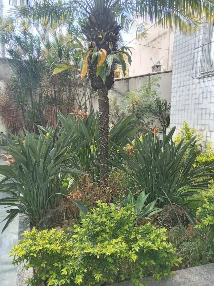 Apartamento, 4 quartos, 110 m² - Foto 10