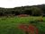 Sítio, 3 quartos, 4000 m² - Foto 1