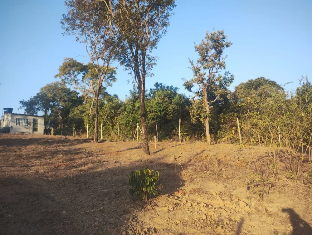 Casa, 1 quarto, 1000 m² - Foto 8
