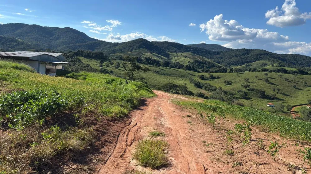 Fazenda, 160 hectares - Foto 1
